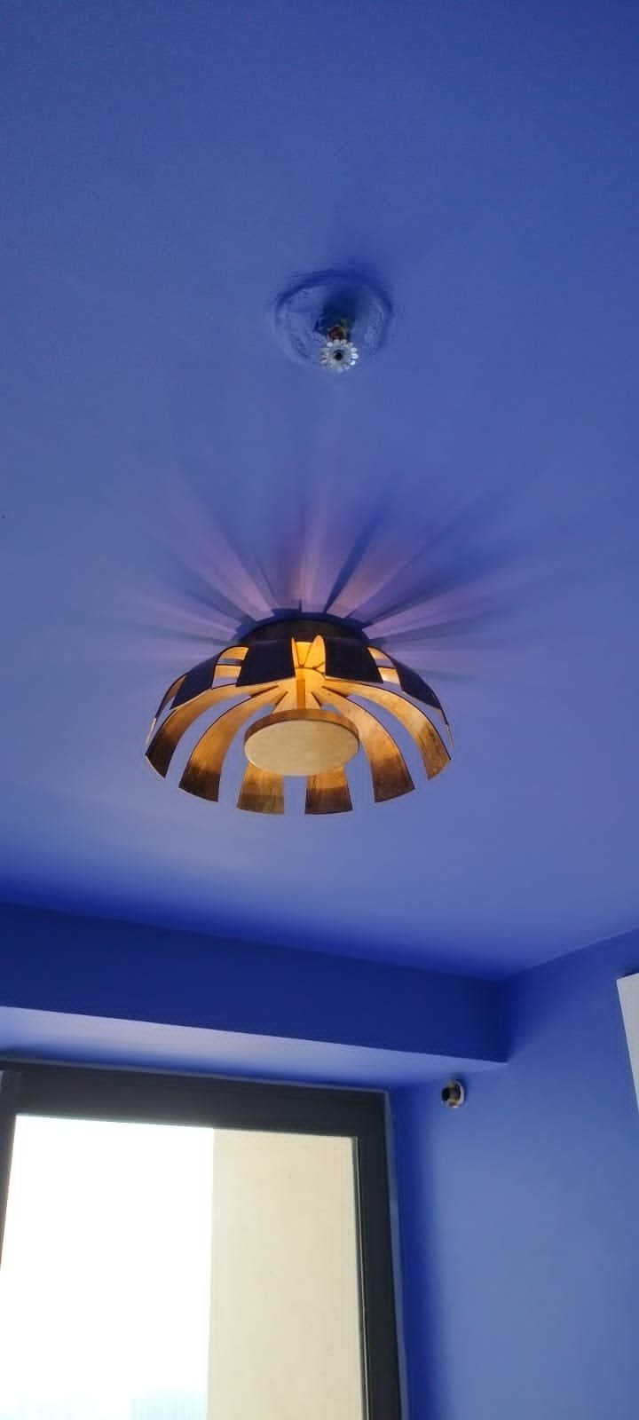 IMG-20221122-WA0037